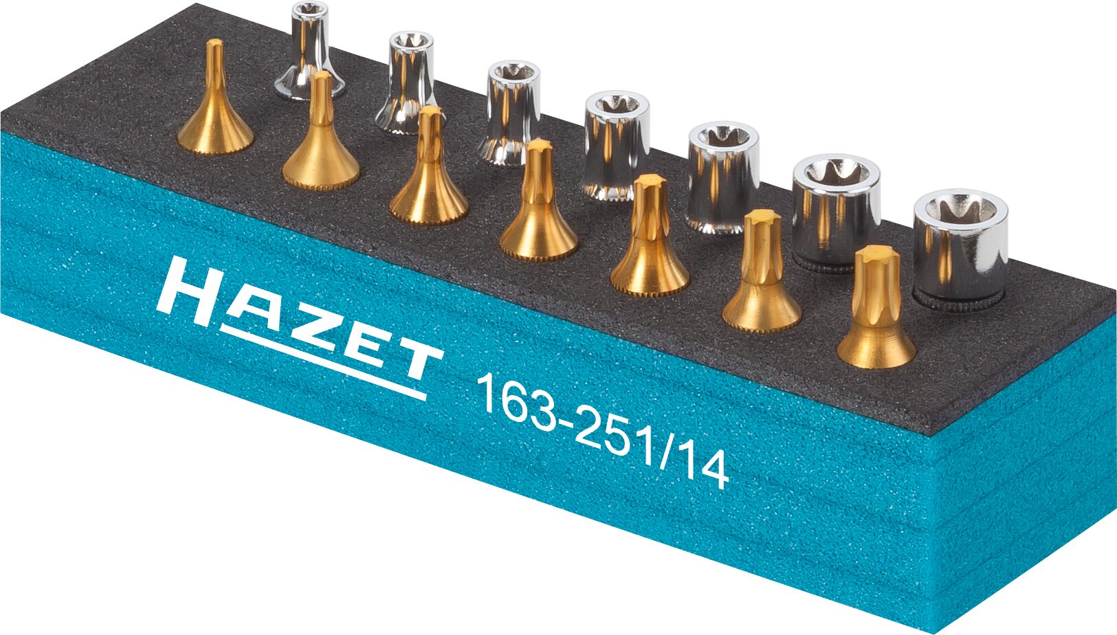 HAZET Werkzeug Satz · TORX® 163-251/14 · Werkzeuge: 14