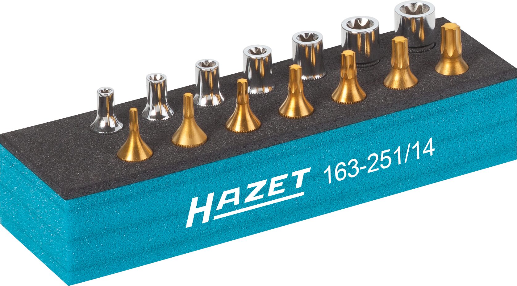 HAZET Werkzeug Satz · TORX® 163-251/14 · Werkzeuge: 14