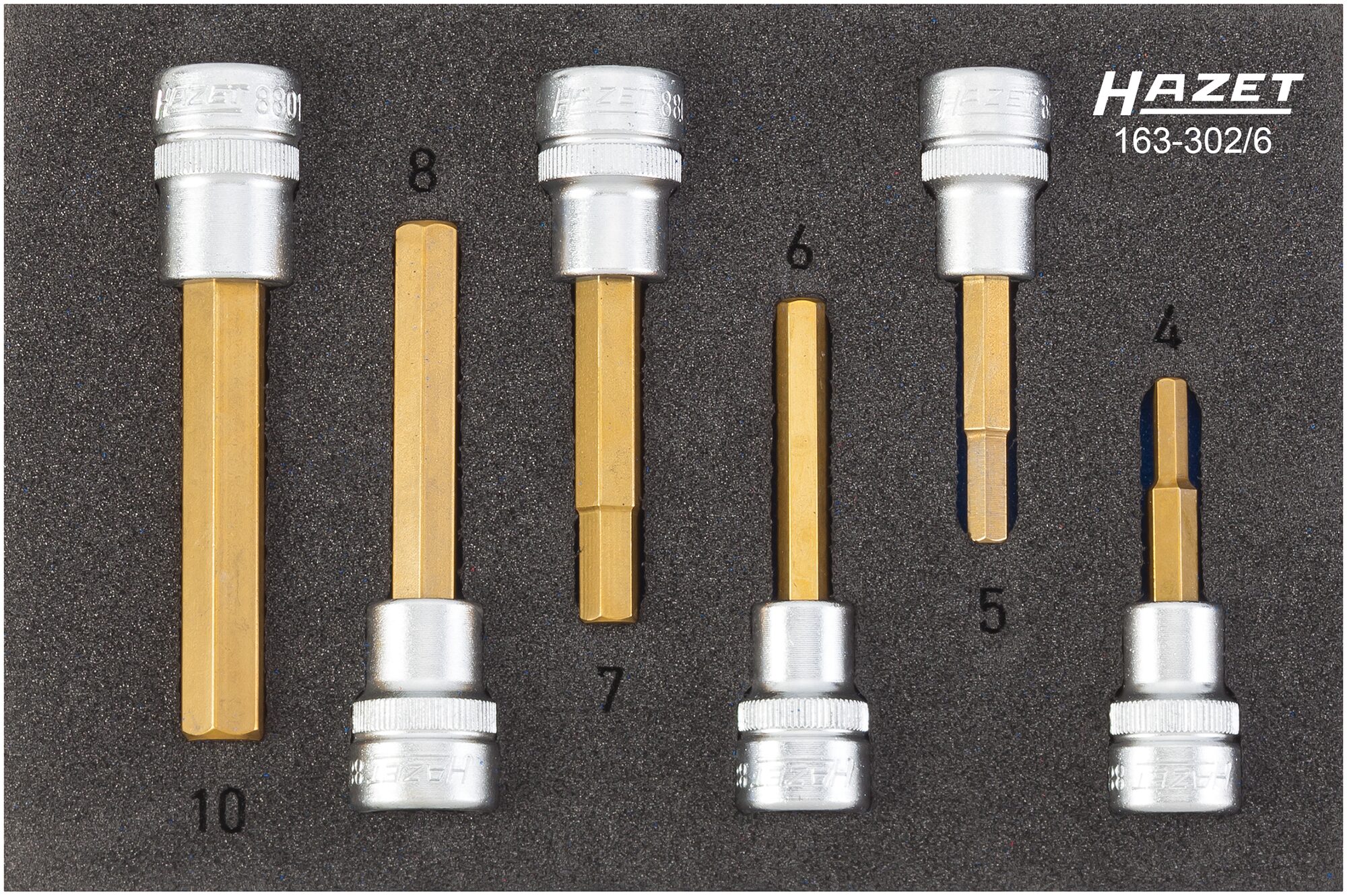 HAZET Schraubendreher-Steckschlüsseleinsatz Satz 163-302/6 · Vierkant hohl 10 mm (3/8 Zoll) · Innen Sechskant Profil · 4?–?10 · Anzahl Werkzeuge: 6